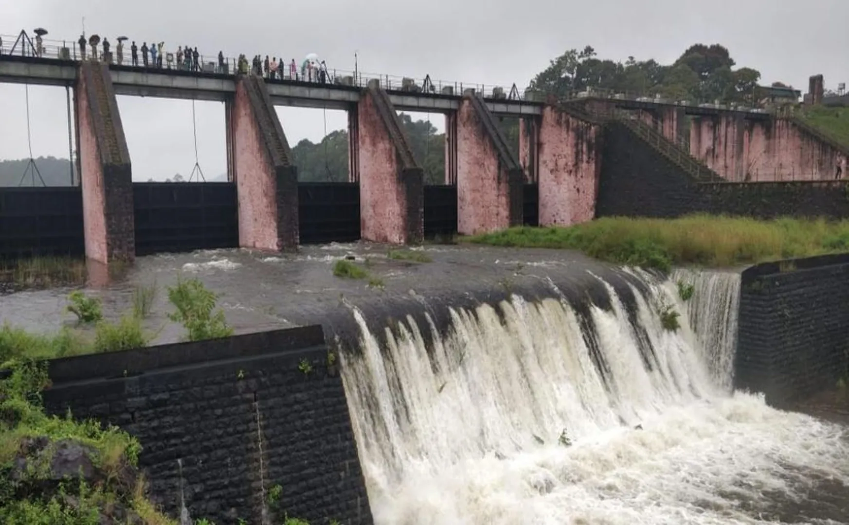 "I went to Mullaiperiyaru dam 14 times and opened the water" -  O. Panneerselvam Report!